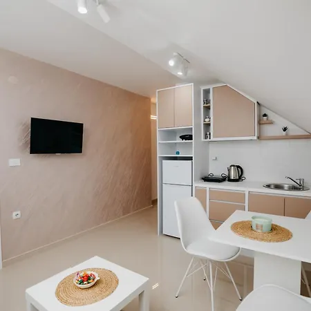 Apartment Ani Soko Banja